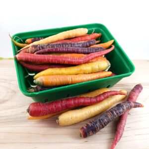 Carottes de couleur - Barquette