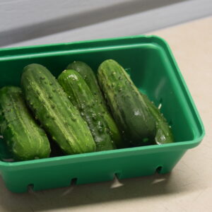 Cornichons - Barquette